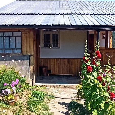 Guesthouse Sagrila Omalo Eksteriør bilde