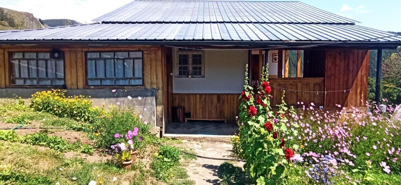Guesthouse Sagrila Omalo Eksteriør bilde